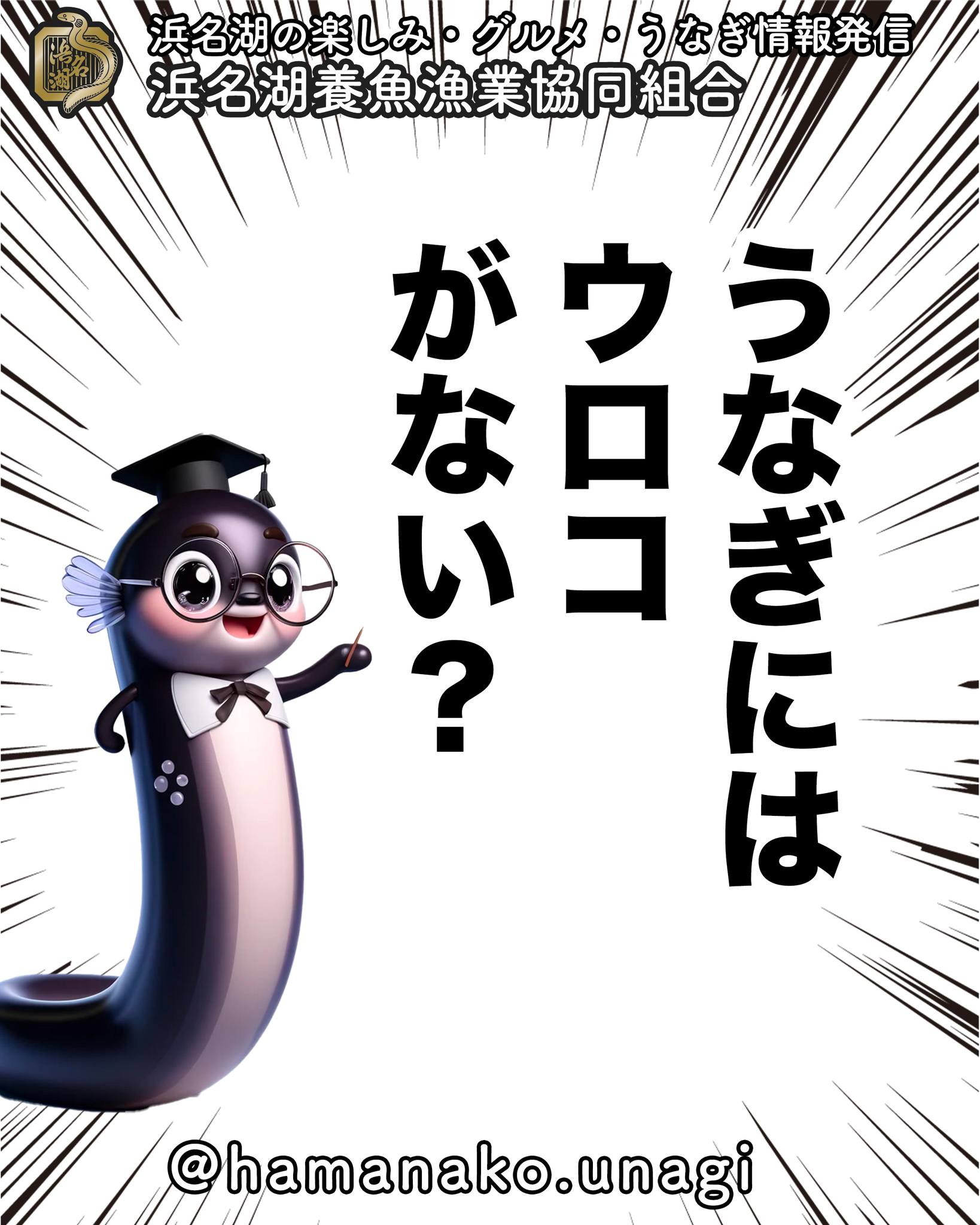 うなぎにはウロコがないって
思っていませんか？

実は、うなぎにも
目に見えないくらい小さい
鱗（うろこ）があるんです。

触った感じは滑らかですが、
ちゃんと鱗が皮膚を守っています。
意外な事実ですよね。

この豆知識をぜひ周りの人に
シェアしてみてくださいね！

~~~~~~~~~~~~~~⛩️~~~~
浜名湖を中心に、グルメ、文化
お店など浜名湖の観光情報を
みなさまにお届けしています。

参考になったら、
面白いなぁと感じたら

いいね！&フォローを
お願いいたします。

浜名湖養魚漁業組合
@hamanako.unagi

〜〜〜〜〜〜〜〜〜〜〜〜〜

#浜名湖養魚漁業協同組合 #浜名湖うなぎ #うなぎの鱗 #うなぎ豆知識 #うなぎ雑学 #うなぎ好きな人と繋がりたい #国産うなぎ #浜名湖グルメ #グルメ好きな人と繋がりたい #バズグルメ