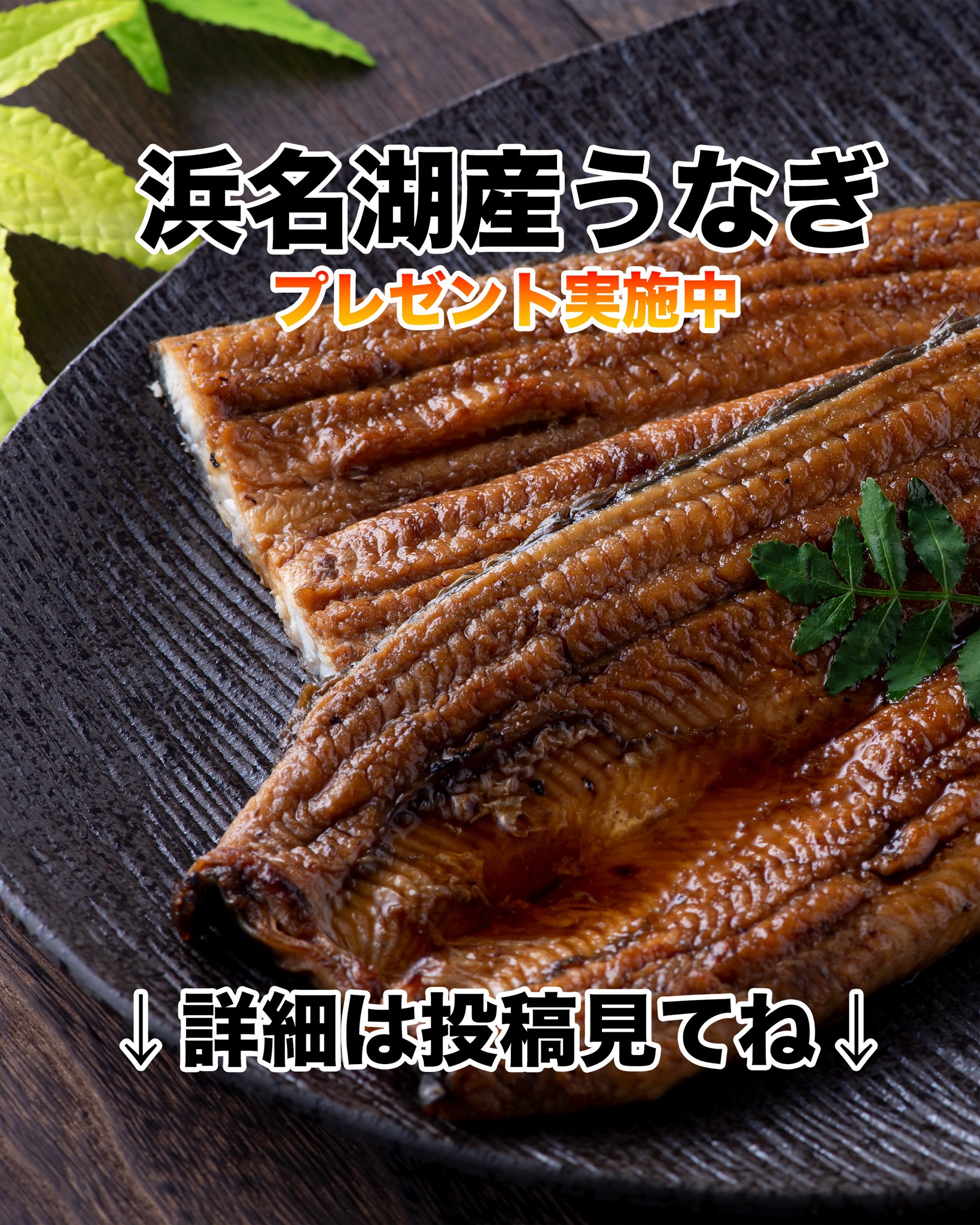 浜名湖産うなぎが当たる！チャンス.

応募方法は・・・

プロフィールから、リンクをタップ
 　↓　↓
通販サイトへリンクするバナーをタップ
　↓　↓
プレゼントバナーをタップ
　↓　↓
応募ページが表示されます

暑い夏を栄養満点の鰻で乗り切りましょう

#浜名湖うなぎ
#鰻プレゼント 
#浜名湖グルメ