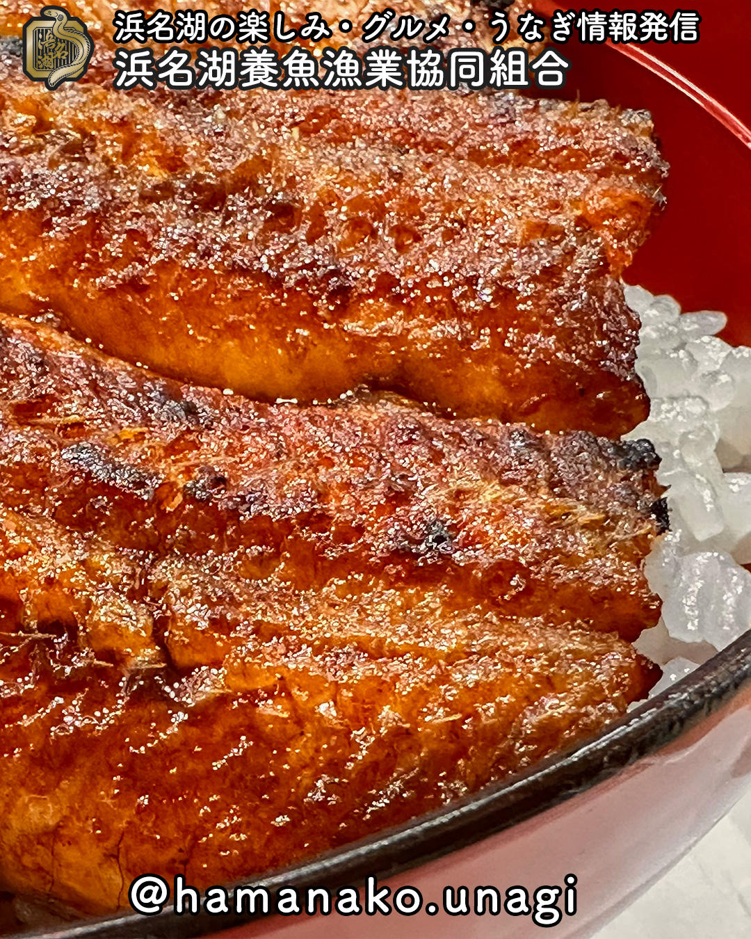 丁寧に焼き上げられたうなぎ
みているだけでお腹すきませんか?.
この艶やかな表面
職人さんが丁寧に何度も何度も
タレを塗り重ねて焼き上げた証
一匹一匹に込められた
職人の技と愛情が
この美しい仕上がりを生み出しています
もっと綺麗な写真が撮れれば
いいんですけどね...
でも写真の技術なんて関係ない
この美味しそうな輝きは
どんなカメラでも伝わってきます
浜名湖うなぎの品質と
職人さんの腕が織りなす
この完璧な焼き加減
見ているだけで
タレの甘い香りと
うなぎの香ばしさが
想像できてしまいます
美味しいものの魅力は
写真の腕前を超えて
しっかり伝わるものですね
みなさんもお腹が鳴ってきませんか?
~~~~~~~~~~~~~~⛩️~~~~
浜名湖を中心に、グルメ、文化
お店など浜名湖の観光情報を
みなさまにお届けしています。
参考になったら、
面白いなぁと感じたら
いいね!&フォローを
お願いいたします。
浜名湖養魚漁業組合
@hamanako.unagi
〜〜〜〜〜〜〜〜〜〜〜〜〜
#浜名湖うなぎ #職人の技 #丁寧な焼き上げ #うなぎ #浜名湖グルメ #職人技 #浜名湖養魚漁美協同組合 #hamanako_unagi #うなぎ好きと繋がりたい