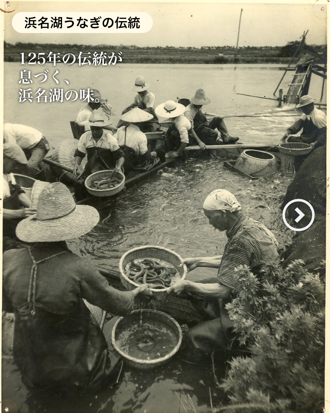 明治時代から125年。
浜名湖の自然と
職人の技が育ててきた
「浜名湖うなぎ」。
いまも昔も
/
“手間ひま”と“想い”
\
は変わりません。
伝統の味を、あなたの食卓へ。
#浜名湖うなぎ
#うなぎの伝統
#浜名湖の味
#浜名湖養魚漁業協同組合
#うなぎ職人
#伝統をつなぐ
#浜名湖グルメ
#うなぎ通販
#うなぎ好き
#静岡グルメ
#職人の技
#浜松グルメ
#日本の伝統