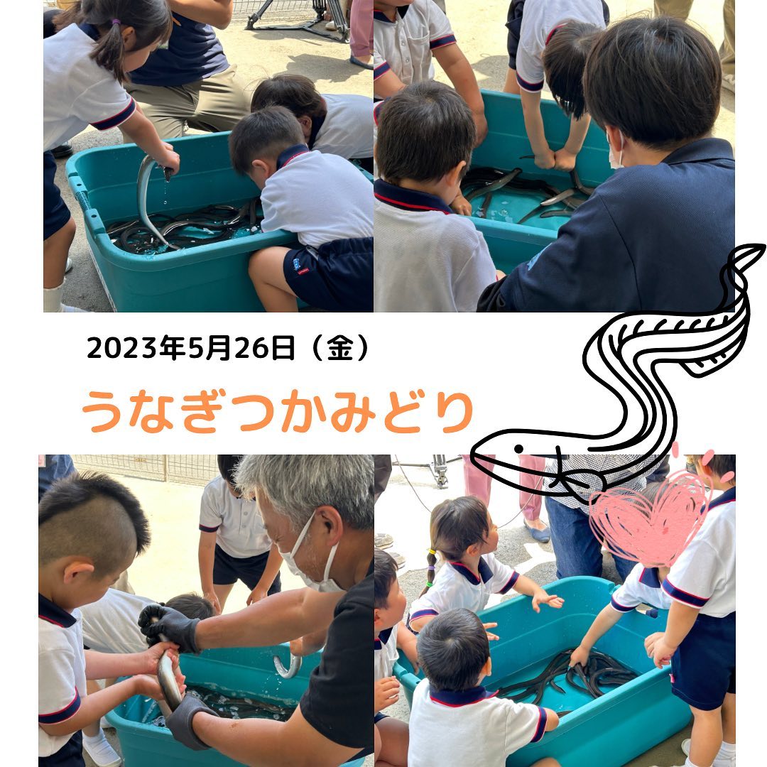 真愛三ツ谷子ども園でうなぎのつかみ取り体験をしてきました!
子供達みんなうなぎを初めて触って楽しそうでした!
#うなぎつかみ取り #食育活動
#真愛三ツ谷こども園 #浜名湖うなぎ #浜名湖養魚漁業協同組合 #初体験でドキドキ #青鰻会 #ふれあい #うなぎ