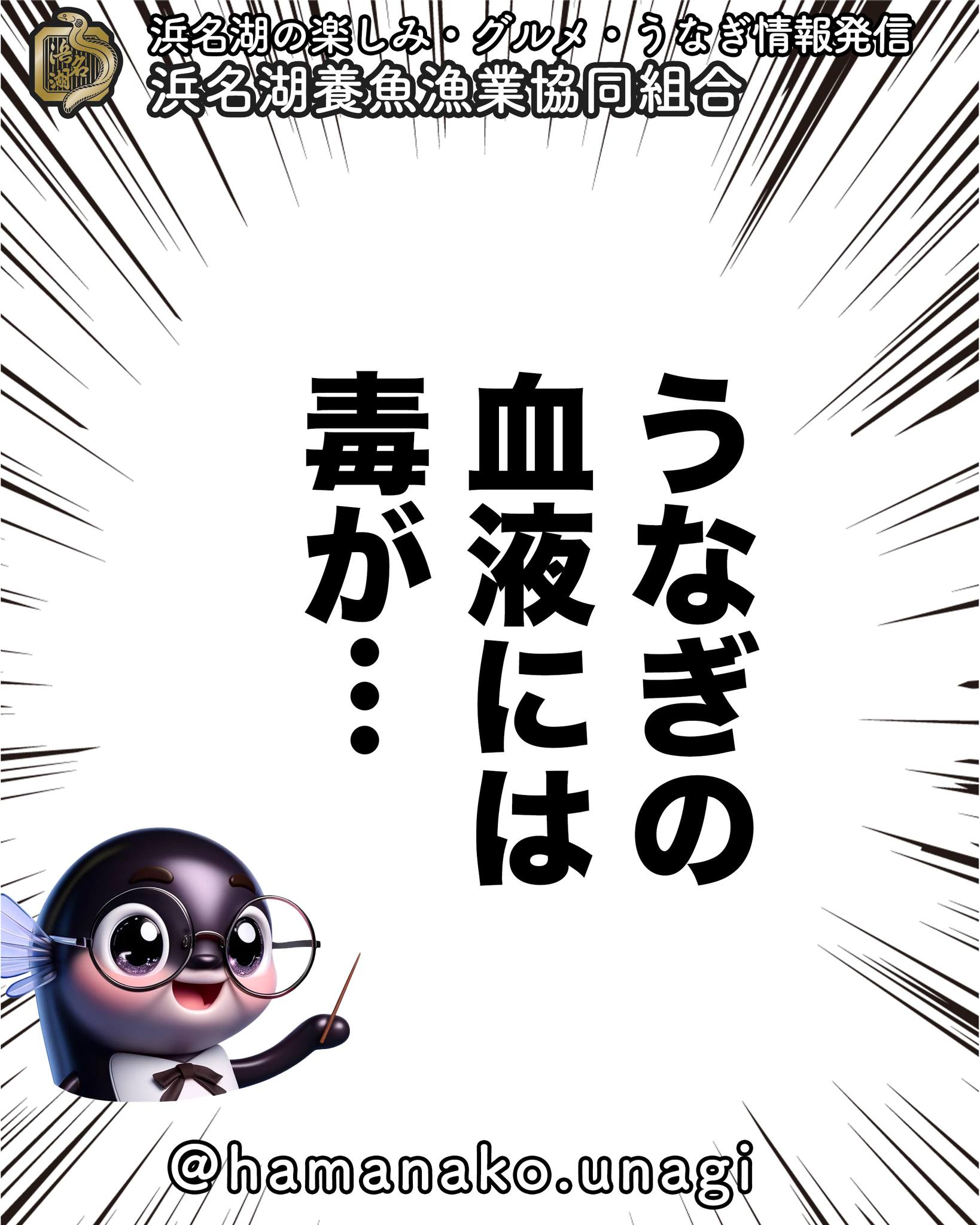 うなぎの血液には毒が…でも加熱すれば安心！.

実はうなぎの血液には
「イクチオヘモトキシン」という
毒が含まれているって
知ってましたか？

でも安心してください。
加熱することで完全に無害になります。
だからこそ、蒲焼など
しっかり火を通した料理で
美味しく安全に楽しめるんです。

実は一部の専門店では
「うなぎの刺身」という食べ方もあります。
こちらはプロが特殊な技術を使って
安全に提供している特別な料理です。

うなぎを食べるときは
必ず火を通して、安心して
美味しく召し上がってくださいね。

この驚きの豆知識も
ぜひ周りの人にシェアしてくださいね！

~~~~~~~~~~~~~~⛩️~~~~
浜名湖を中心に、グルメ、文化
お店など浜名湖の観光情報を
みなさまにお届けしています。

参考になったら、
面白いなぁと感じたら

いいね！&フォローを
お願いいたします。

浜名湖養魚漁業組合
@hamanako.unagi

〜〜〜〜〜〜〜〜〜〜〜〜〜

#浜名湖養魚漁業協同組合 #浜名湖うなぎ #うなぎの血液 #猛毒 #イクチオヘモトキシン #うなぎの刺身 #うなぎ豆知識 #うなぎ雑学 #蒲焼き #うなぎ好きな人と繋がりたい #国産うなぎ #浜名湖グルメ #グルメ好きな人と繋がりたい #バズグルメ