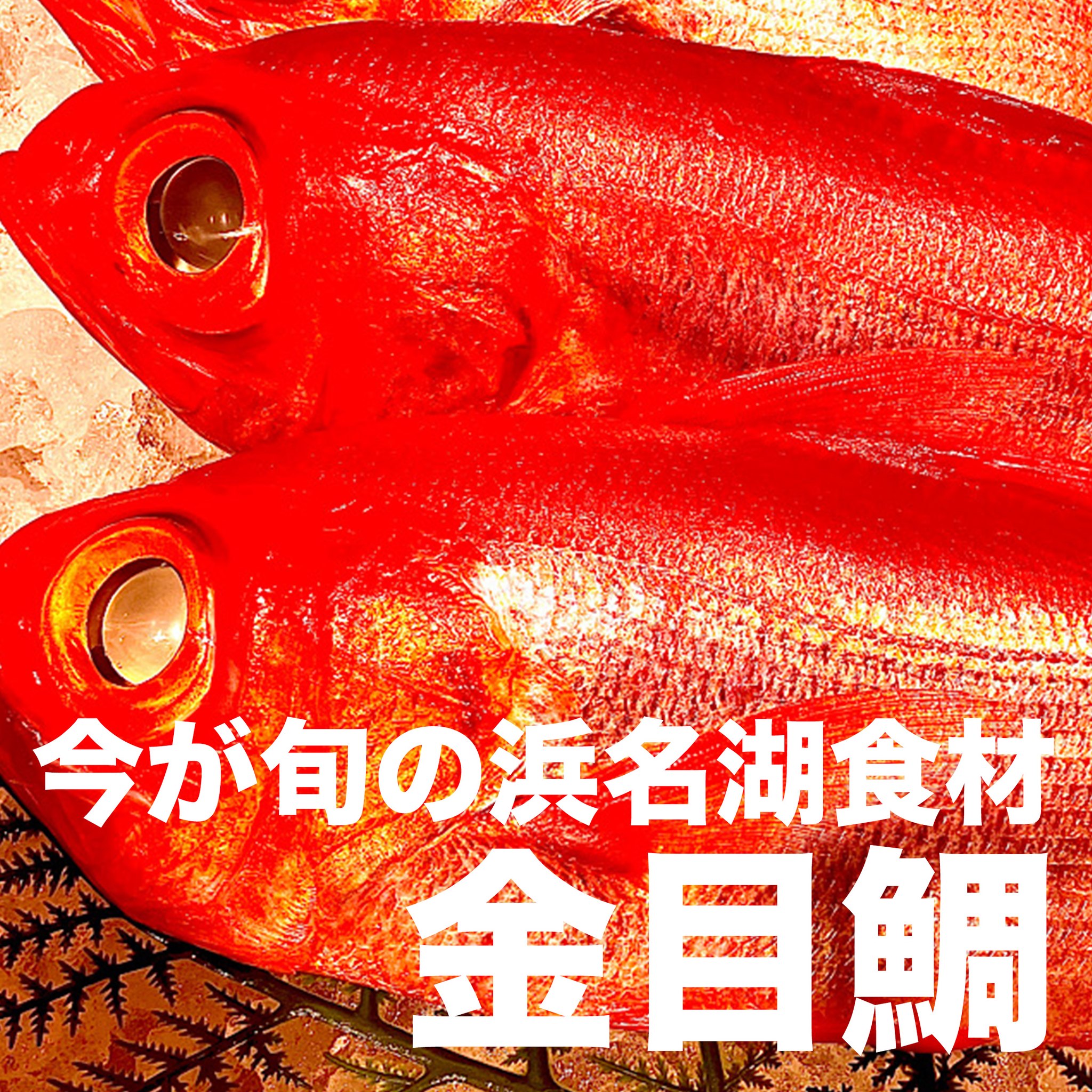 遠州沖の金目鯛も有名なんです.

金目鯛というと駿河湾などの深い海で取れる魚
として有名ですよね？

じつは、舞阪沖にも似たような深海があり
遠州グルメとして美味しいんですよ！

ぜひ、いちど味わってみてくださいね。

#浜名湖養魚漁業協同組合
#浜名湖グルメ
#浜松グルメ
#旬の味 
#旬の魚 
#遠州の魚
#金目鯛