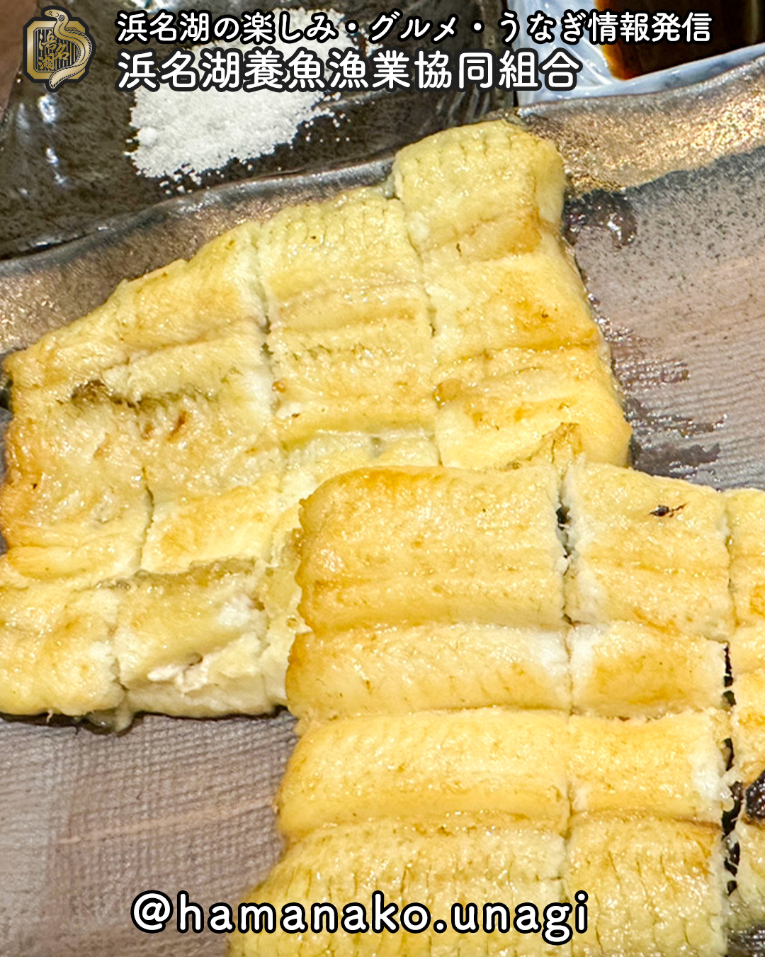 白焼きって、お店によって全然ちがうよね。
浜名湖うなぎの「白焼き」。
タレで味付けしないぶん、焼き方や火加減の違いがそのまま味に出る一品。
だから蒲焼き以上に、お店ごとの
