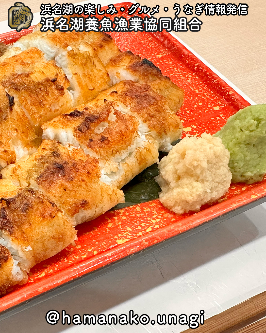 こんがり白焼き、わさび派?それとも生姜派?
浜名湖うなぎの「白焼き」。
香ばしく焼いた白焼きは、薬味ひとつで表情がガラッと変わるのが楽しい。
ツンと爽やかなわさびも、さっぱり後味の生姜も、それぞれの良さ。
あなたはどっちで食べたい?
ぜひコメントで教えてね!
白焼き気になる人は保存、うなぎ好きな人に送ってね。
浜名湖うなぎの楽しみ方は @hamanako.unagi をフォローでチェック!
#浜名湖うなぎ #白焼き #うなぎ豆知識 #うなぎ好きと繋がりたい #浜名湖グルメ