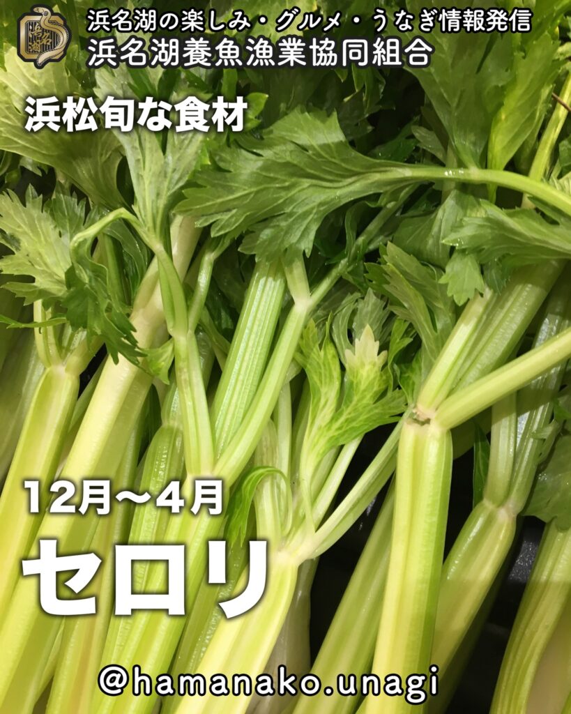 新生活の門出に「うなぎのぼり」で祝おう！. – 浜名湖養魚漁業協同組合