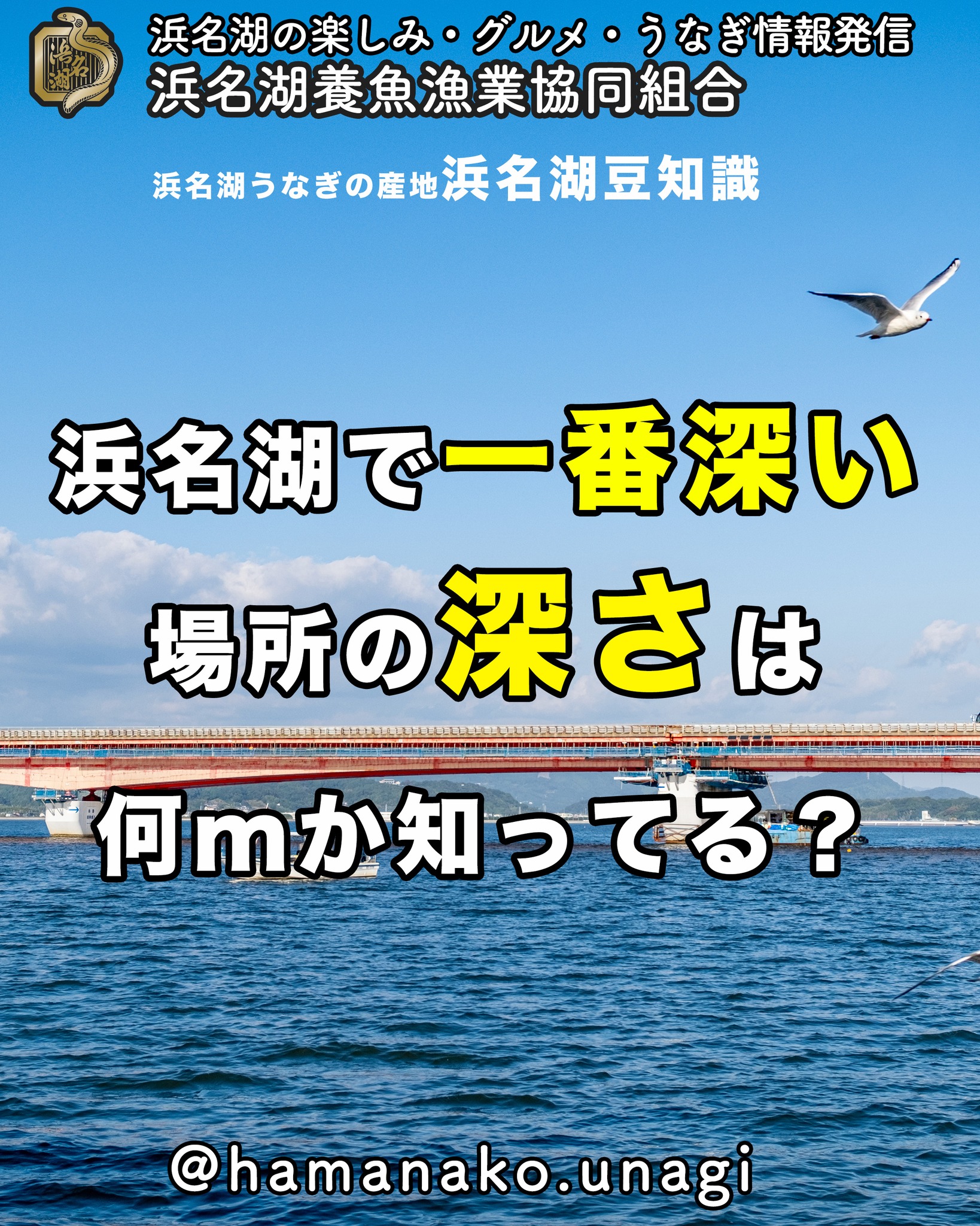 ★浜名湖豆知識クイズ！

浜名湖で一番水深が深い場所って
どれくらいの深さかわかる？？

答えは・・・

舘山寺・大崎を結ぶ中央部で
約12mの深さがあるみたい

そのほかにも

猪鼻湖や松見ケ浦の入り口で
８〜９mぐらいあるんだって

もっとありそうな気もするんだけどね🤗

浜名湖豆知識になったかな？？

~~~~~~~~~~~~~~~⛩️~~~~
浜名湖を中心に、グルメ、文化
お店など浜名湖の観光情報を
みなさまにお届けしています。

参考になったら、
面白いなぁと感じたら

いいね！&フォローを
お願いいたします。

浜名湖養魚漁業組合
@hamanako.unagi

〜〜〜〜〜〜〜〜〜〜〜〜〜

#浜名湖養魚漁業組合
#浜名湖観光
#浜松観光 
#浜名湖豆知識