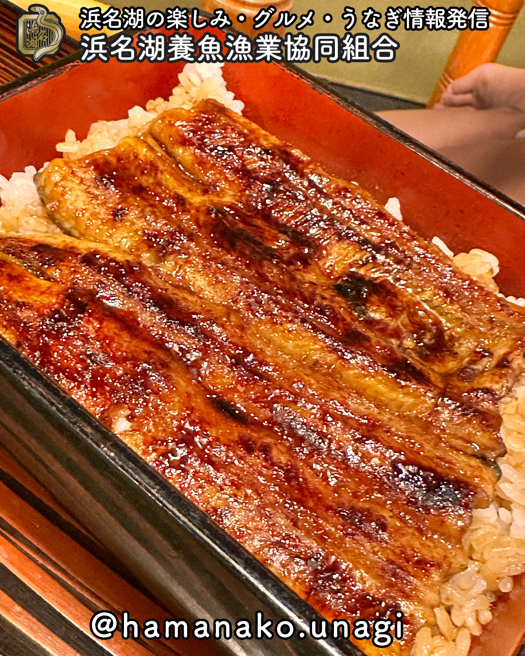 土用の丑は、鰻重派?それともうな丼派?
浜名湖うなぎの「鰻重」。
重箱でふっくら、香ばしいタレとごはんの相性はまさに王道。
うな丼とはまた違う