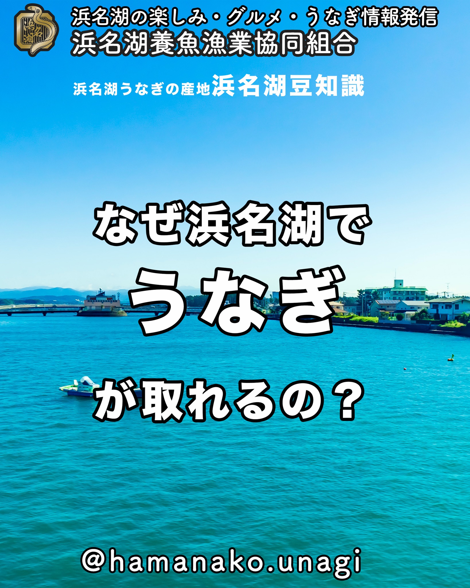 なんで、浜名湖で鰻がとれるか知ってる？.

諸説ありますが・・・

黒潮に乗ったシラスウナギが
栄養豊富な浜名湖や天竜川で大きくなり
うなぎがとれるようになったみたい

毎度、戻ってきてくれて
ありがとう️だね

~~~~~~~~~~~~~~~⛩️~~~~
浜名湖を中心に、グルメ、文化
お店など浜名湖の観光情報を
みなさまにお届けしています。

参考になったら、
面白いなぁと感じたら

いいね！&フォローを
お願いいたします。

浜名湖養魚漁業組合
@hamanako.unagi

〜〜〜〜〜〜〜〜〜〜〜〜〜

#浜名湖養魚漁業組合
#浜名湖観光
#浜松観光 
#浜名湖豆知識
#浜名湖の歴史 
#浜名湖うなぎ