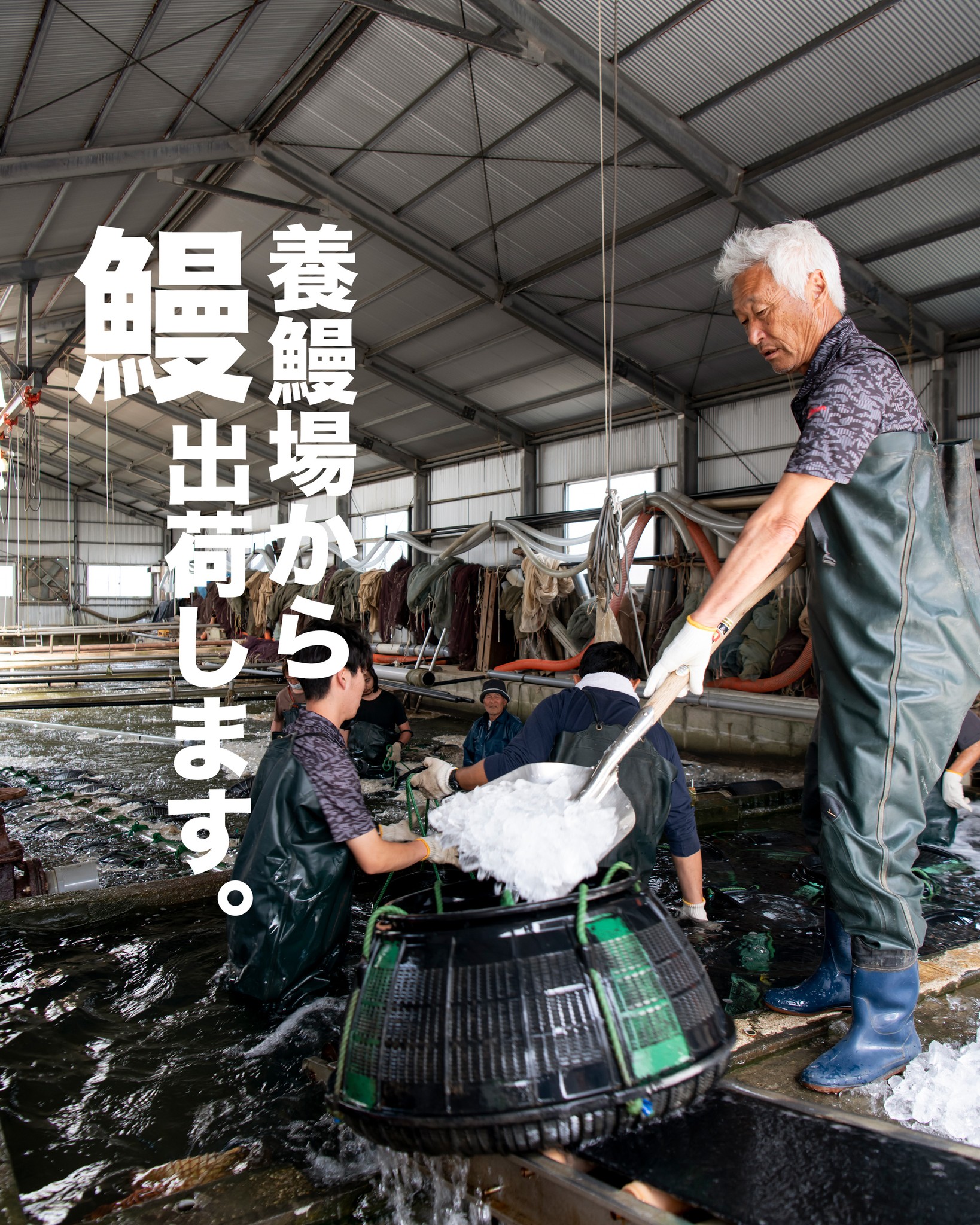 うなぎの出荷中！.

養鰻場から鰻を出荷する様子です

なかなか見ることはないですよね？

大人数で力を合わせて
天塩にかけて育てた
浜名湖うなぎを送り出します🤗

#浜名湖うなぎ
#うなぎの成長
#うなぎ出荷
#浜名湖養魚漁業協同組合