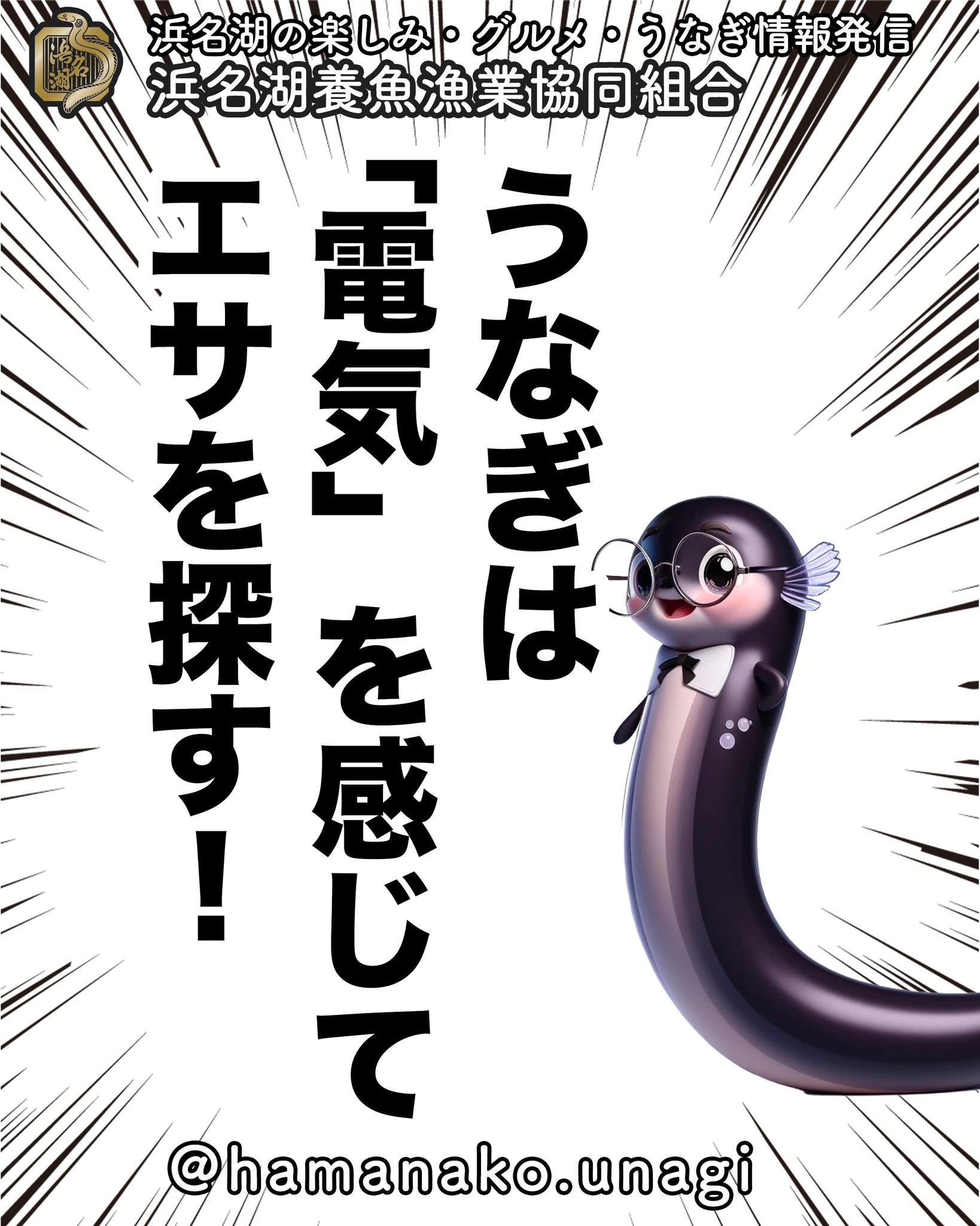 うなぎは“電気を感じて”エサを探す.

うなぎは視力が
あまり良くない代わりに

皮膚で水中の微弱な電流を
感じ取ることができるんです。

獲物が出す微弱な電気信号を感知して
泥の中でもエサを見つけられるという
まさに

“天然のセンサー持ち”

なんですよ！

~~~~~~~~~~~~~~⛩️~~~~
浜名湖を中心に、グルメ、文化
お店など浜名湖の観光情報を
みなさまにお届けしています。

参考になったら、
面白いなぁと感じたら

いいね！&フォローを
お願いいたします。

浜名湖養魚漁業組合
@hamanako.unagi

〜〜〜〜〜〜〜〜〜〜〜〜〜

#浜名湖養魚漁業協同組合
#うなぎ雑学
#うなぎの豆知識
#うなぎの生態
#天然のセンサー
#電気を感じる魚
#視力が弱いうなぎ
#電気でエサを探す
#うなぎの不思議
#生き物の秘密
#自然のすごさ
#うなぎ好きと繋がりたい
#浜名湖うなぎ
#静岡グルメ
#japanesefood