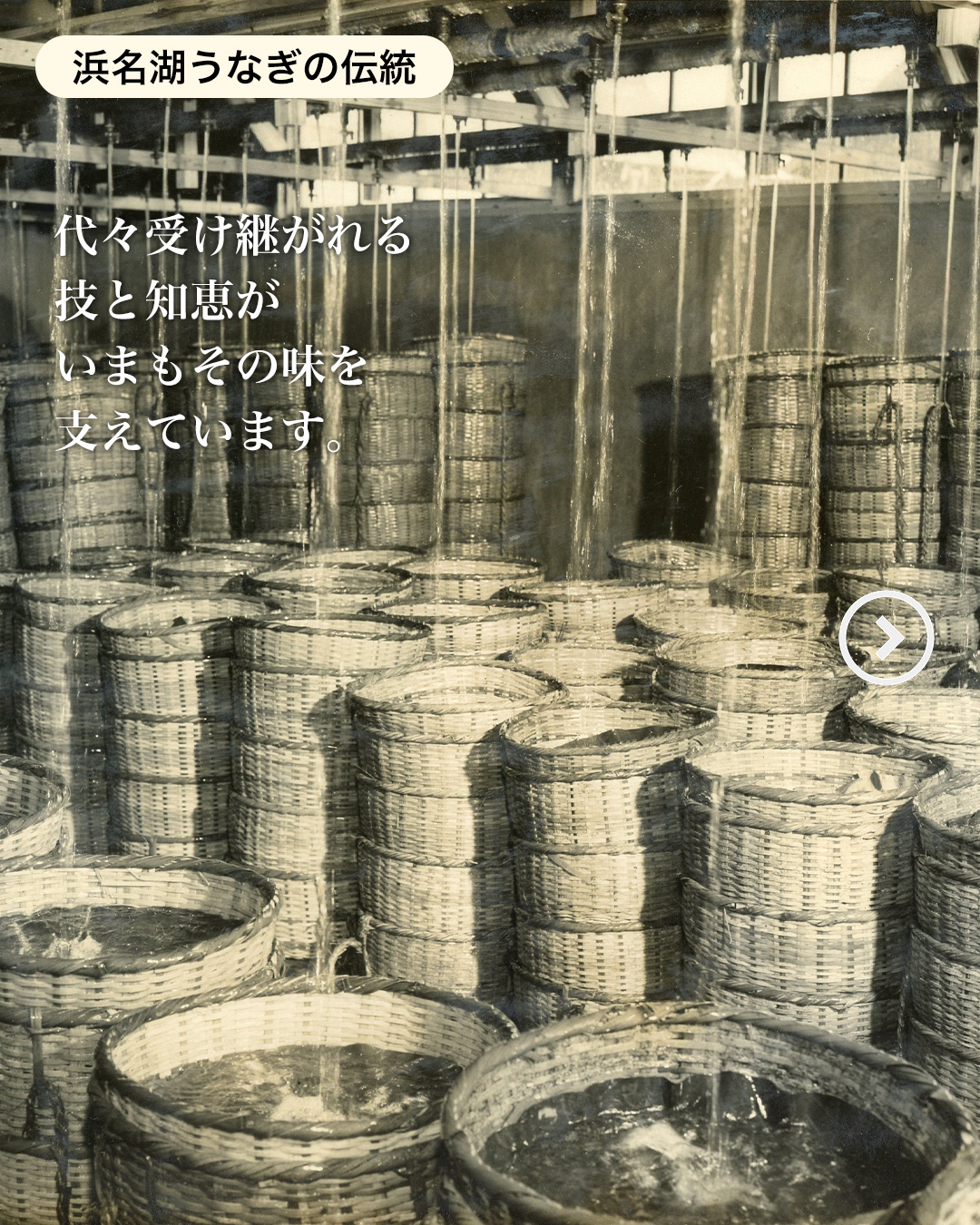浜名湖うなぎの歴史は、
先人たちの知恵と工夫の積み重ね。
代々受け継がれてきた
技と知恵が
いまもその味を支えています。
そして今ーー
養殖技術を磨き上げたことで
さらに安定した
「浜名湖の味」
をお届けできるようになりました。
自然の恵みと、人の技。
その調和が生み出す味こそ
浜名湖うなぎの誇りです。
#浜名湖うなぎ
#うなぎの伝統
#浜名湖の味
#浜名湖養魚漁業協同組合
#うなぎ職人
#養殖技術
#静岡グルメ
#浜松グルメ
#うなぎ通販
#日本の食文化
#職人の知恵
#伝統をつなぐ
#浜名湖の誇り
#浜名湖風景